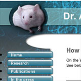Dr Alon Chen, Weizmann Institute