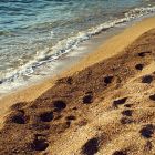 2010 - Footsteps at Caesarea beach, Israel