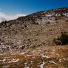 Snow in the Golan. Near Mt Hermon, Winter 2012