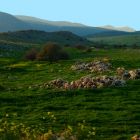 Upper Galilee, Winter 2012